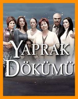 آهنگ سریال برگریزان | موسیقی متن برگریزان