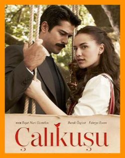 دانلود آهنگ سریال چکاوک | موسیقی سریال Çalıkuşu