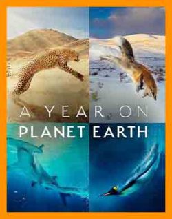 مستند یک سال در سیاره زمین | مستند A Year on Planet Earth