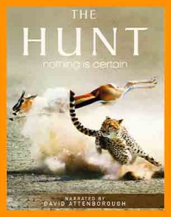 آهنگ مستند The Hunt