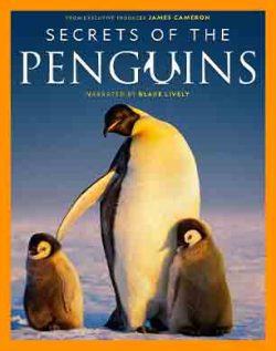 اهنگ نشنال جئوگرافیک | موسیقی متن نشنال جئوگرافیک | آهنگ Secrets of the Penguins